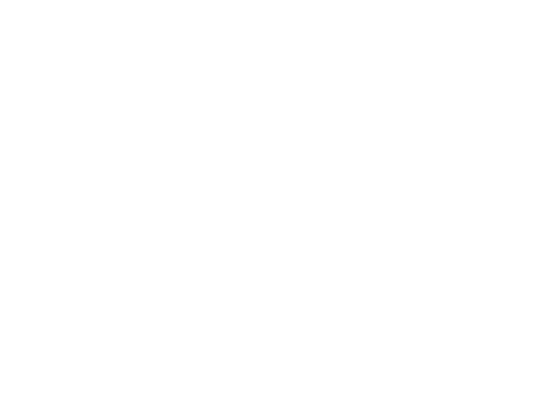 DeMeestersLogo-Wit